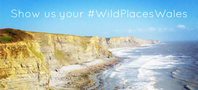win a copy of wild places by iolo williams