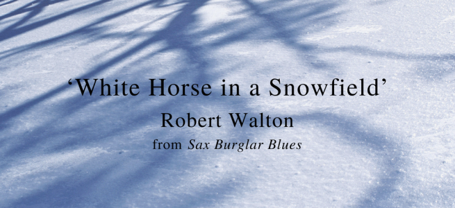 Friday Poem Robert Walton Horse in a Snowfield