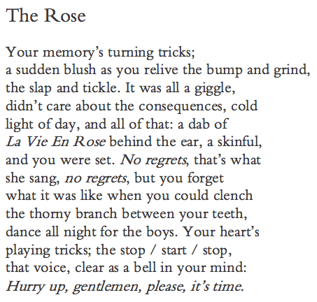 Friday Poem Tamar Yoseloff The Rose